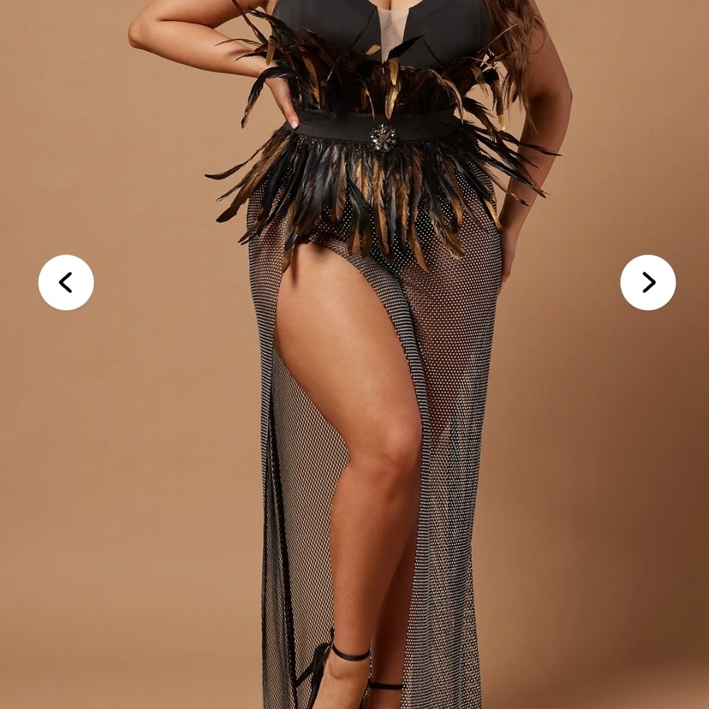Black Feathered Mesh Dress